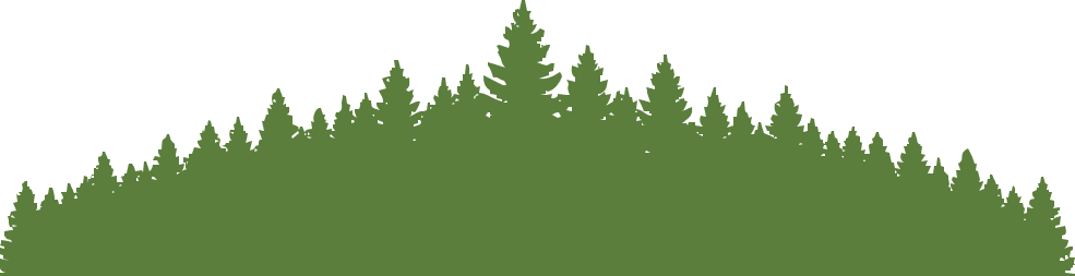 A silhouette of an evergreen tree line